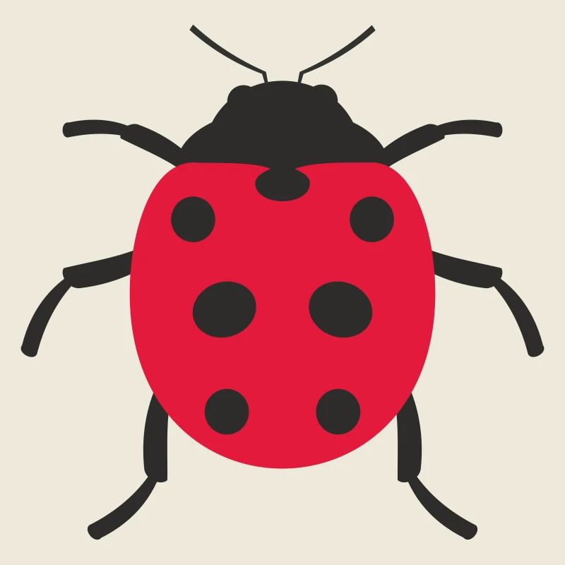 Conception de coccinelle