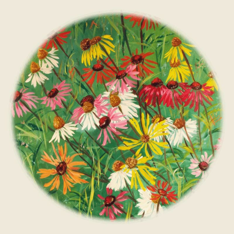 Colorful Echinacea Meadow Painting