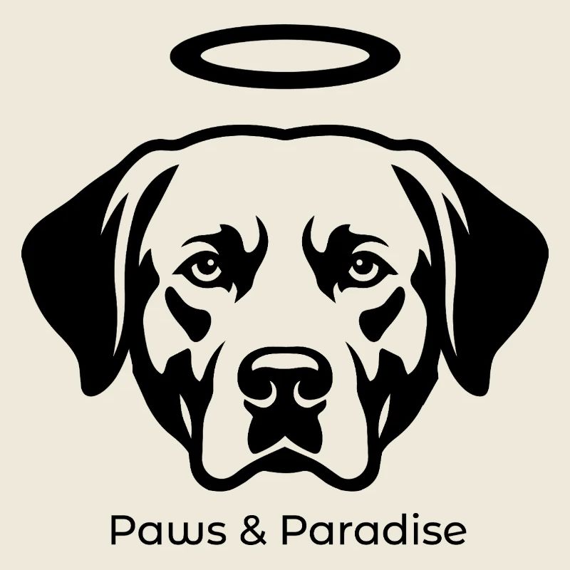 Portrait de l’Ange Labrador – Pattes & Paradis