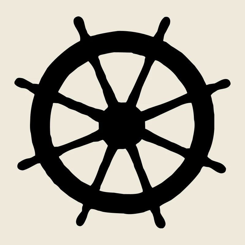 Steering Wheel (FR)