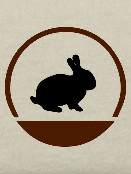 Hasen Logo