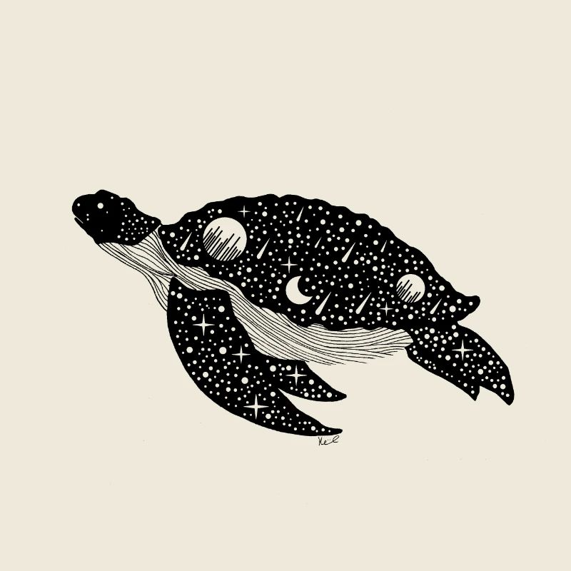 Tortue Silhouette Nocturne
