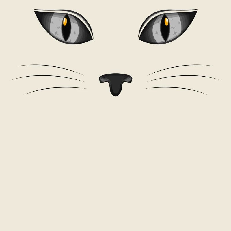 Chat chaton miaou chat domestique oeil de chat