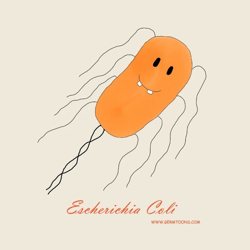 E. Coli / Escherichia Coli - Bakterie