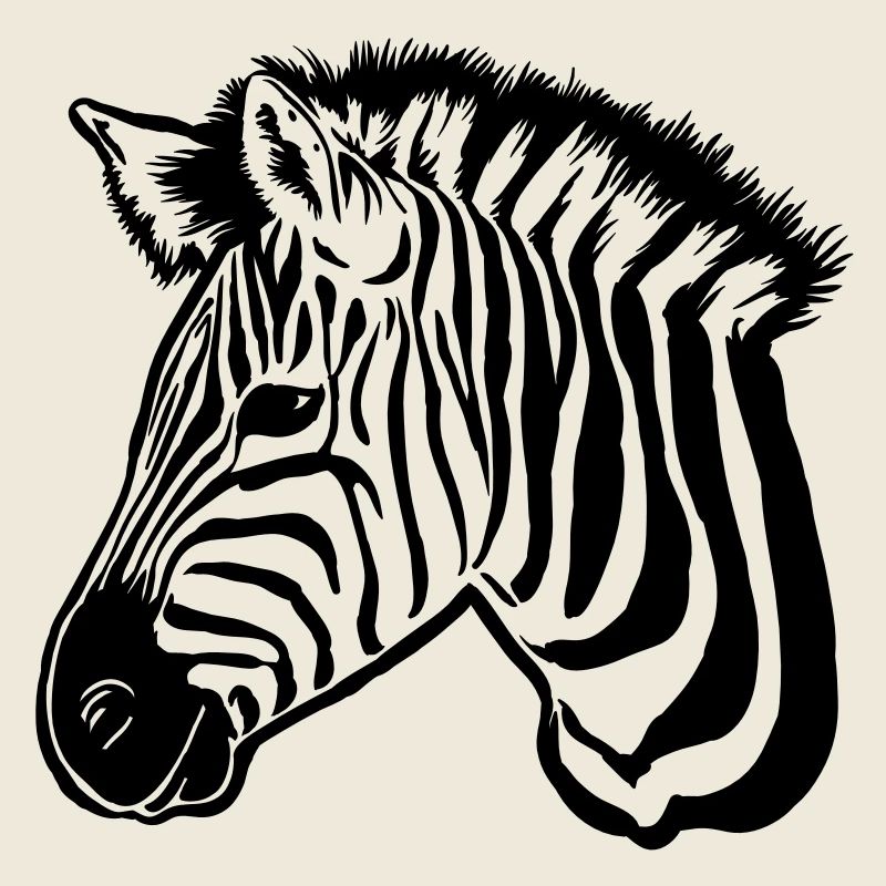 zèbre noir