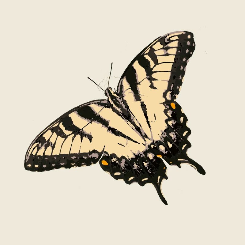 Zitronen-Falter Illustration