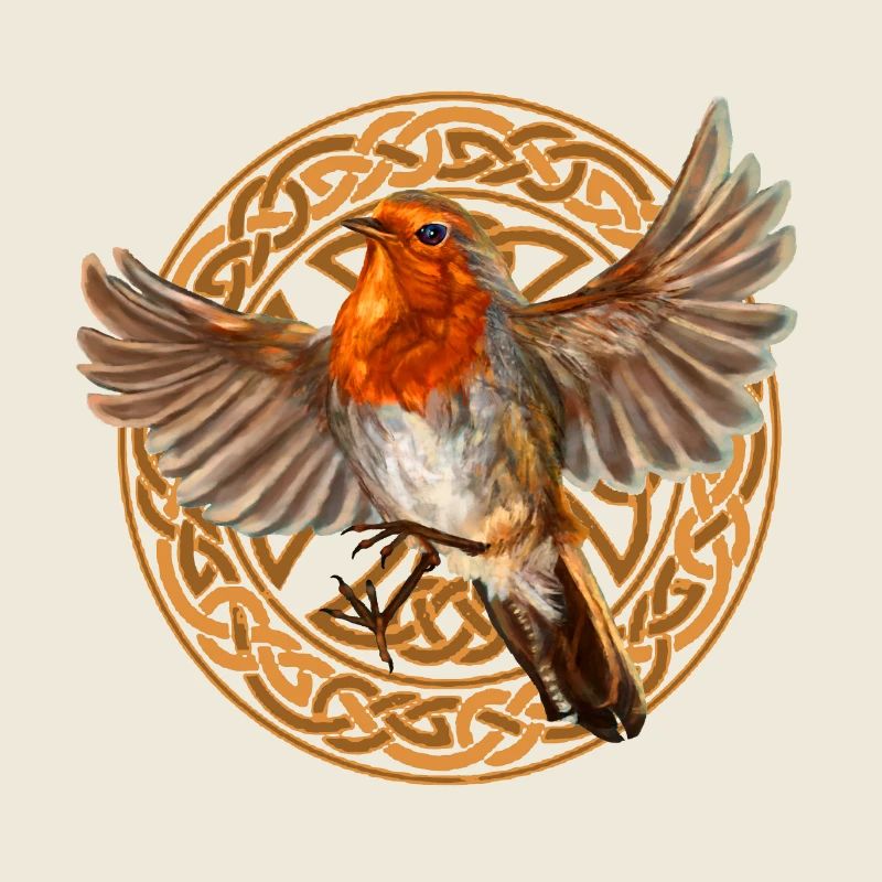 oiseau Rouge-gorge