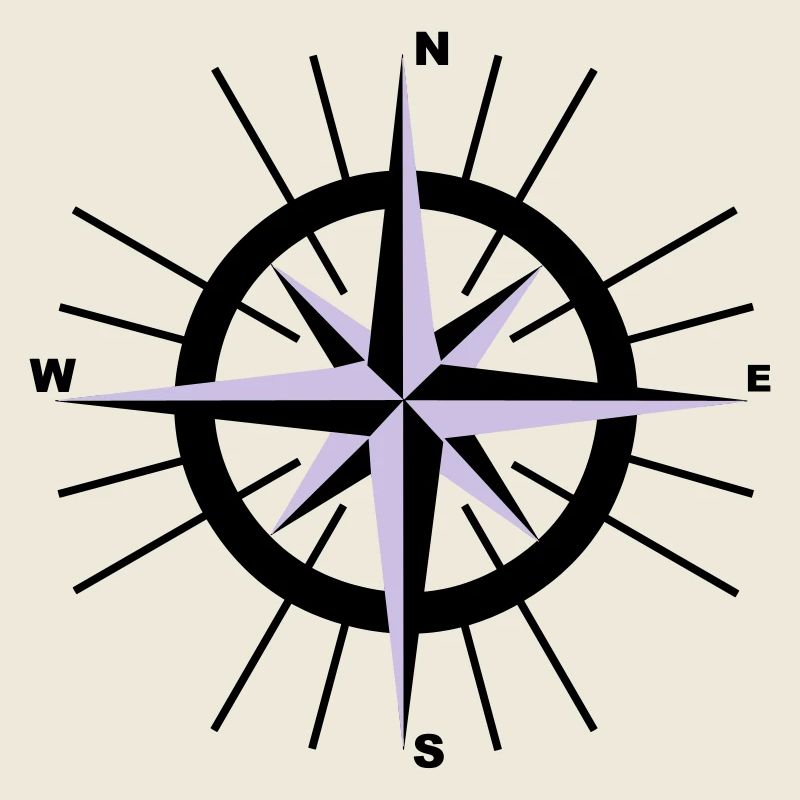 Compass nautique
