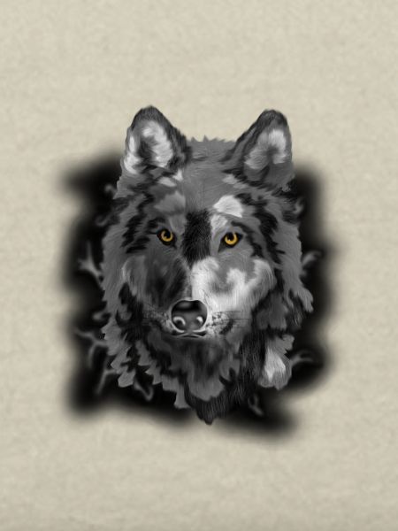 wolf