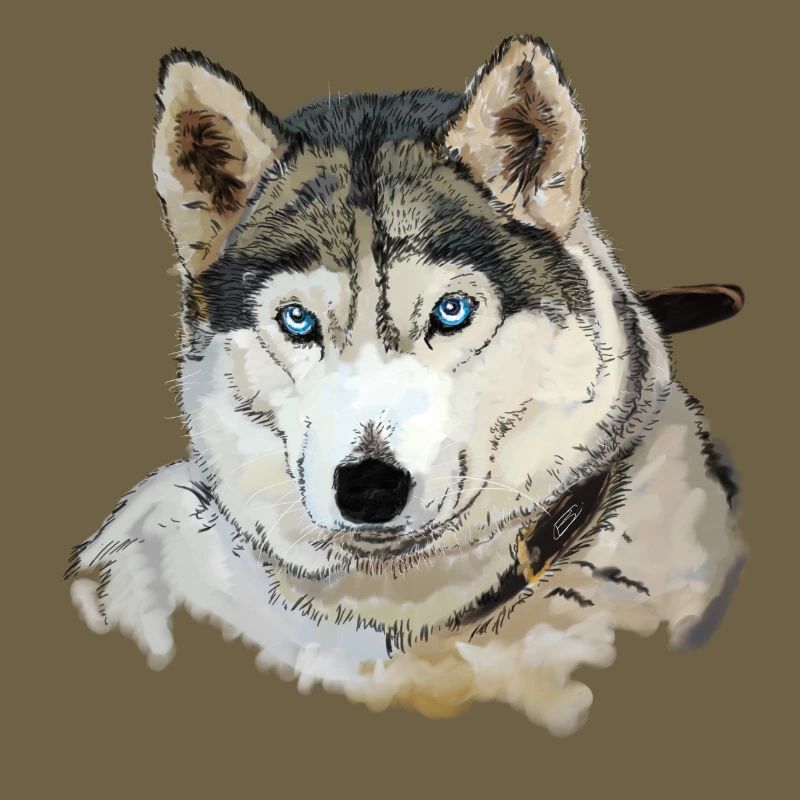 Husky