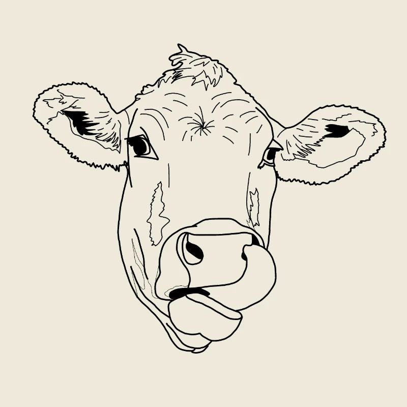 Licking cow