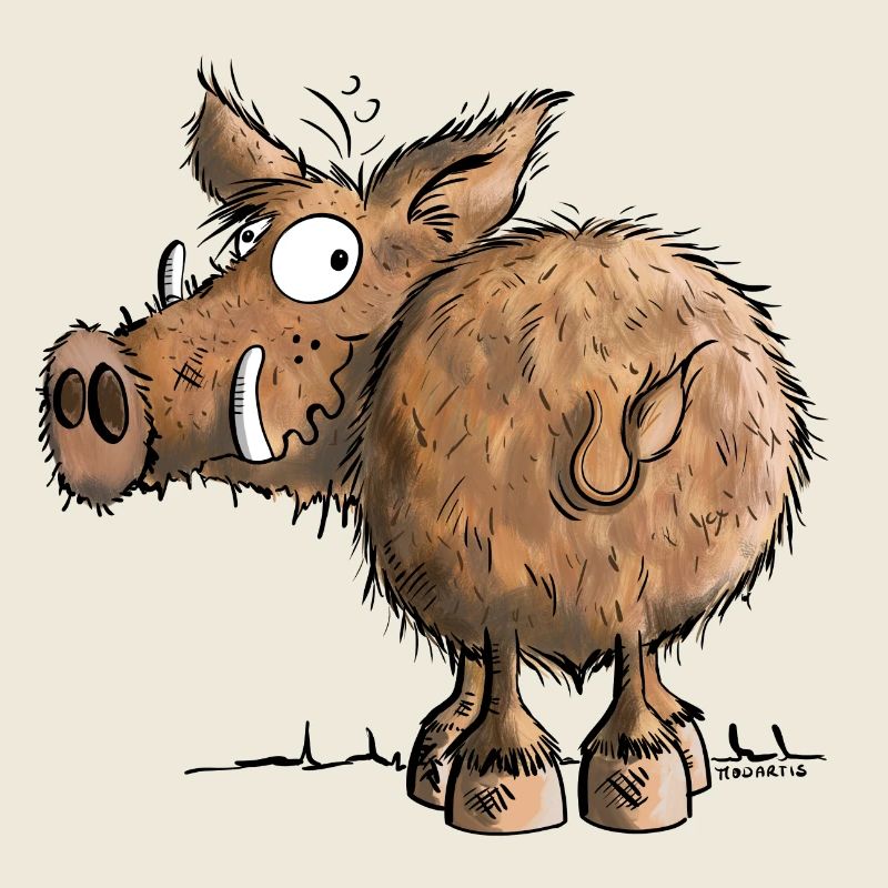 Funny Wild Boar