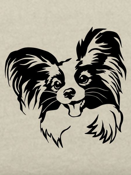 Papillon Kopf