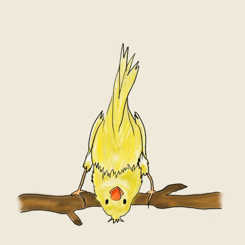 Niedlicher Vogel auf Ast Illustration