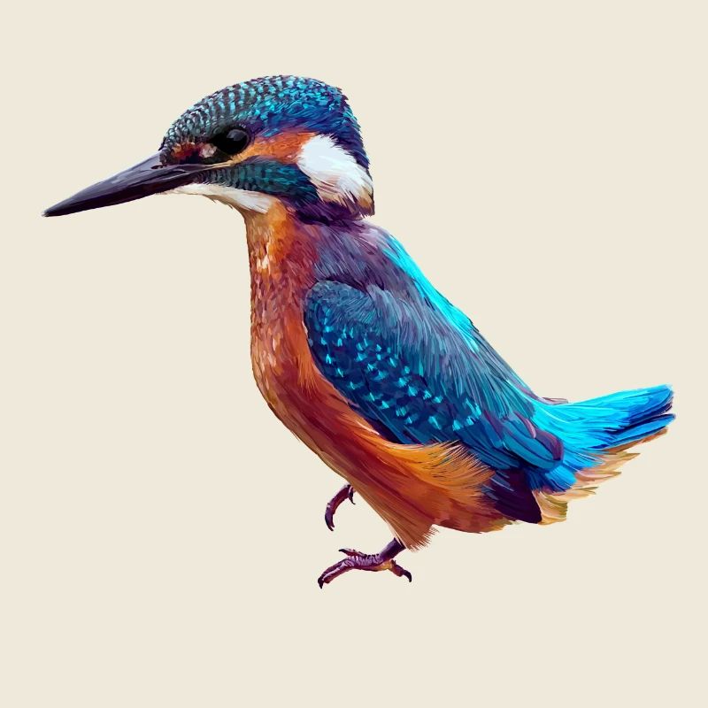 Oiseau de glace