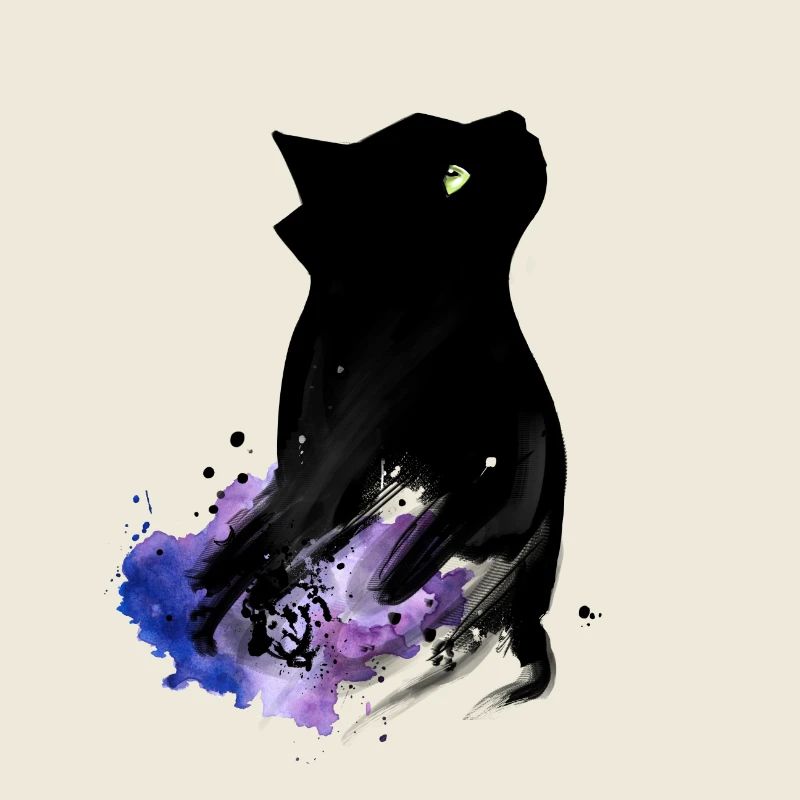 Black Cat
