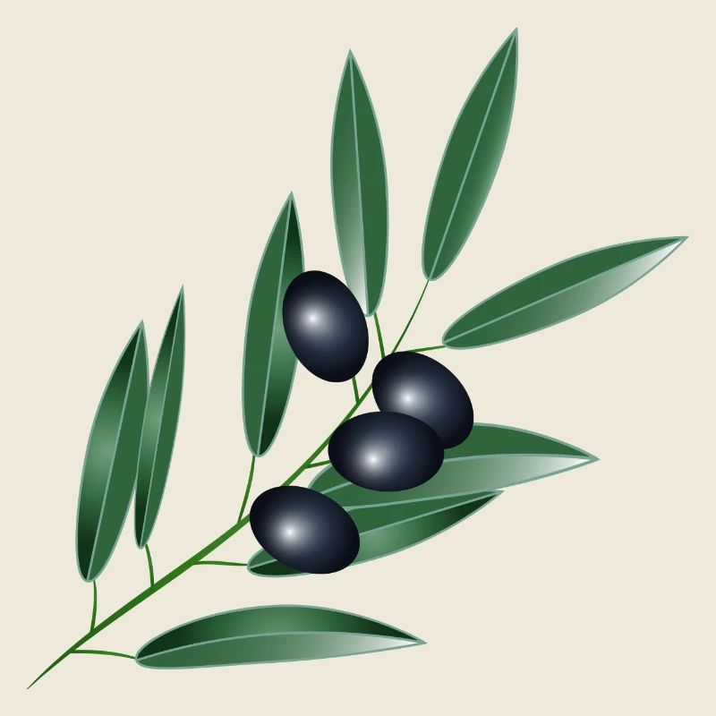 Olivenzweig mit vier schwarzen Oliven