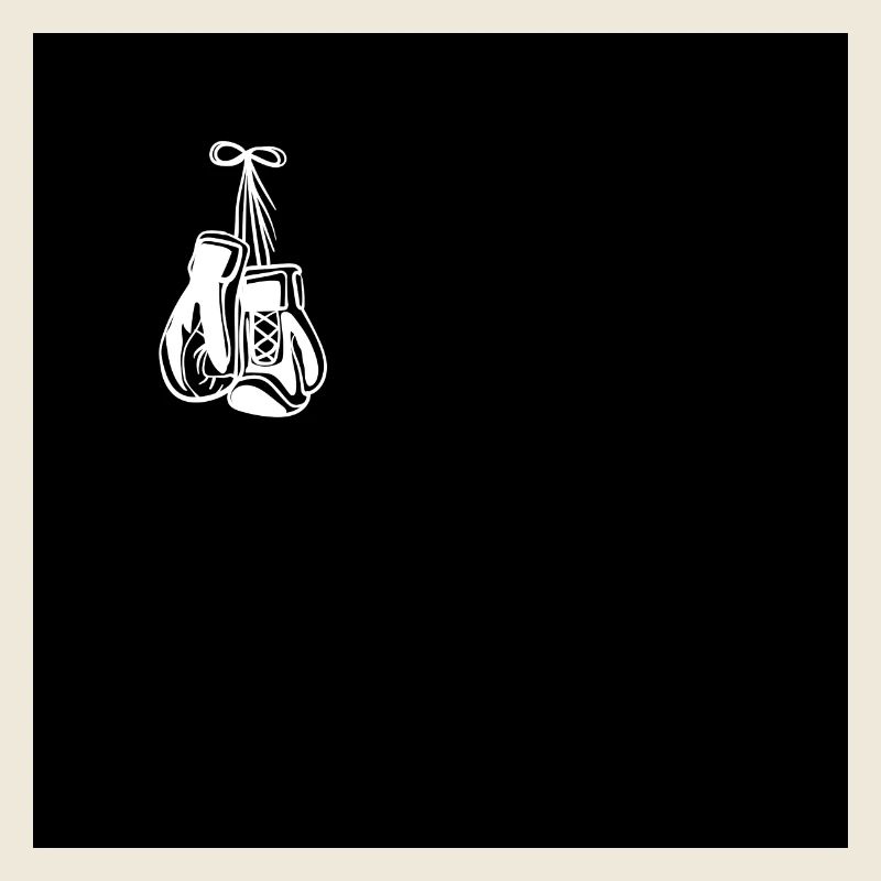Boxing gloves