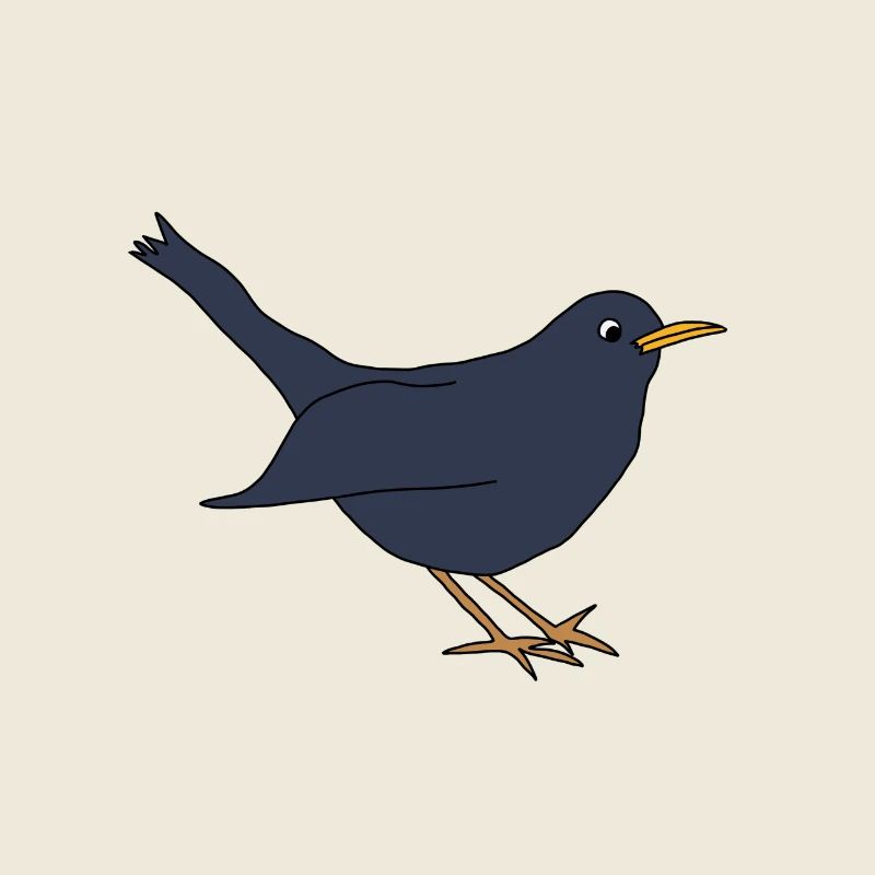 Blackbird *** blank