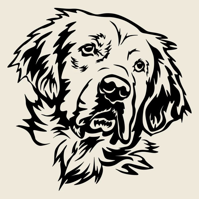 Golden Retriever Kopf