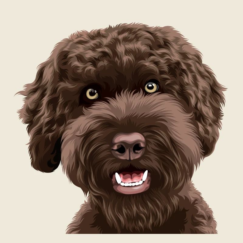 Doodle Dog Labradoodle