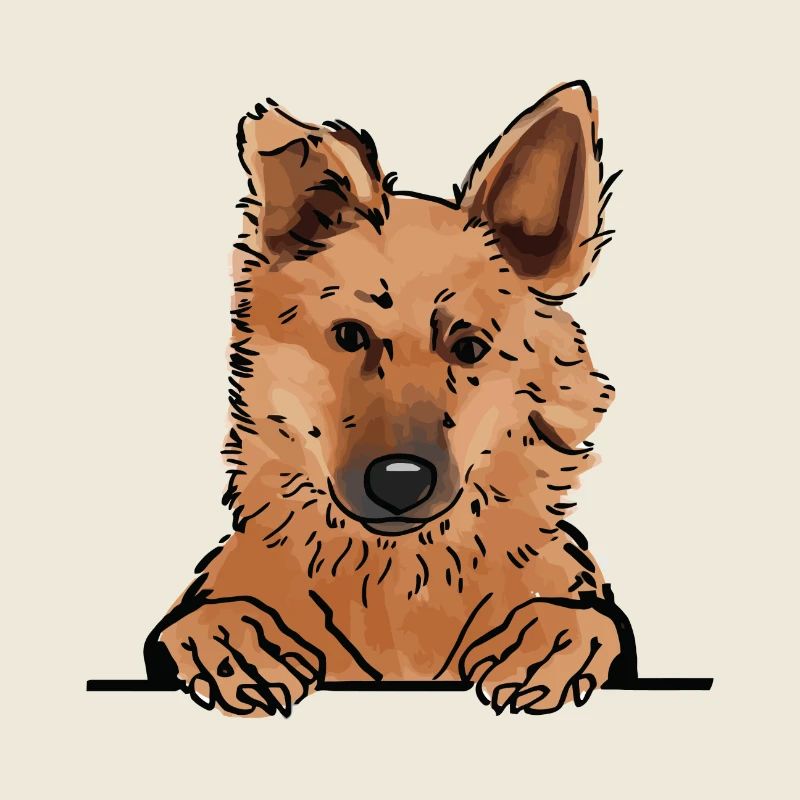Chien de berger basque pour les amateurs de chiens qui regardent