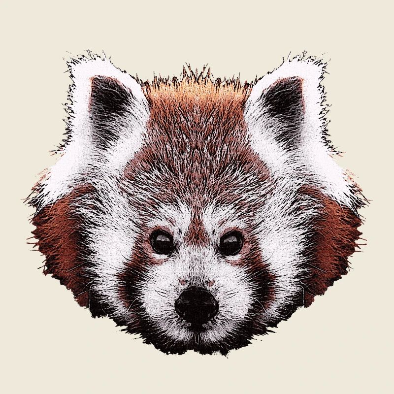 roter panda, süße tiergesichter