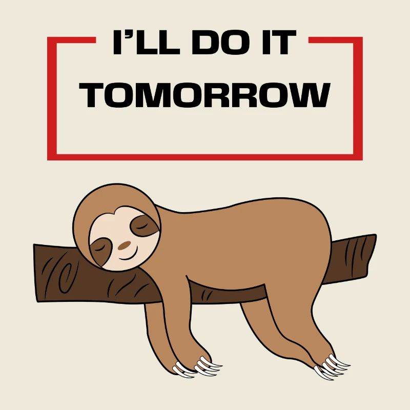 Animal Lazy Statement Hammock Sloth Sleeping
