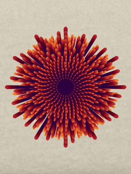 Vector Flower