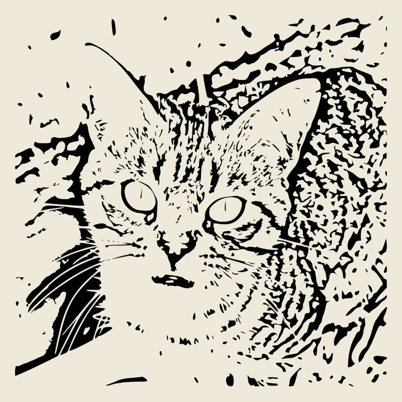 Katze schwarz Kätzchen cute