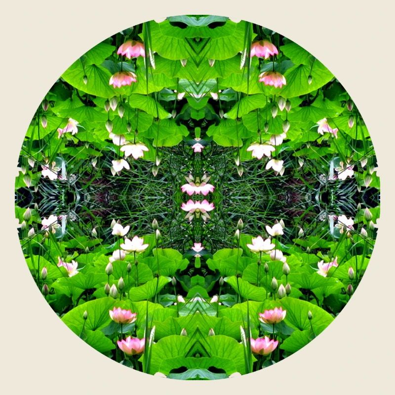 Nature Mandala Dennenlohe
