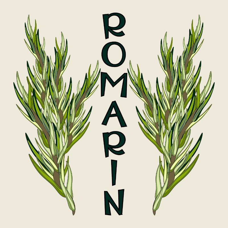 Planter le Romarin - Plantes Aromatiques - JARDIN
