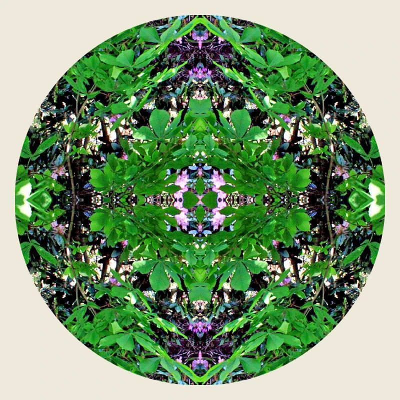 Nature Mandala Spring à Dennenlohe