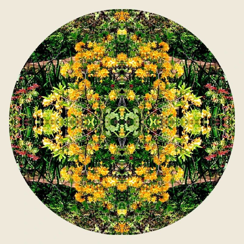 Nature Mandala Spring à Dennenlohe