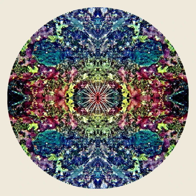Nature Mandala Paysage Sous-marin