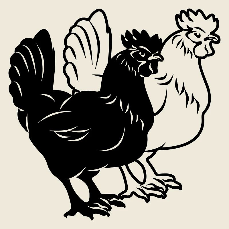 Hühner schwarz und weiß
