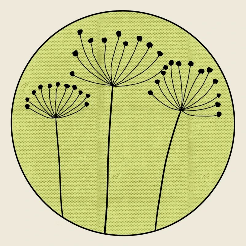 Trockenblume Minimal