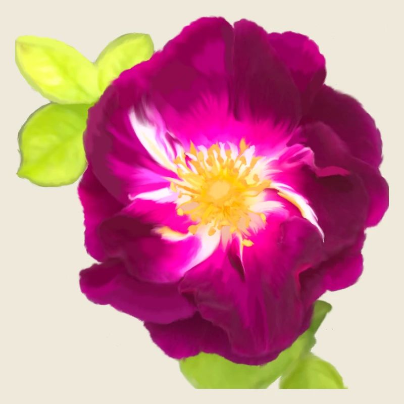 Rose violette - peinture