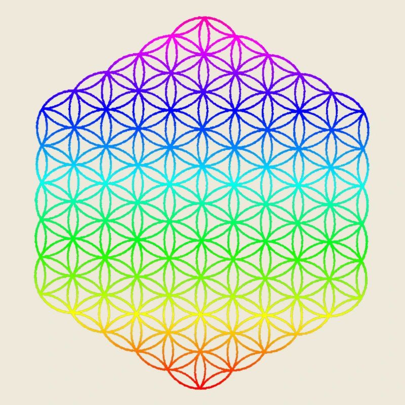 Flower of Life - 5th Dimension - Mandala