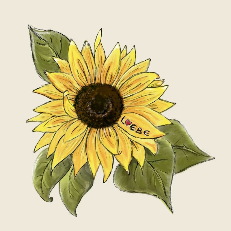 Sonnenblume 🌻