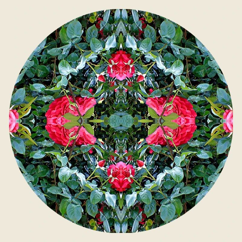 Nature Mandala Été à Nbg Johannis