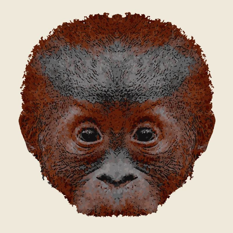 orangutan baby, affengesicht