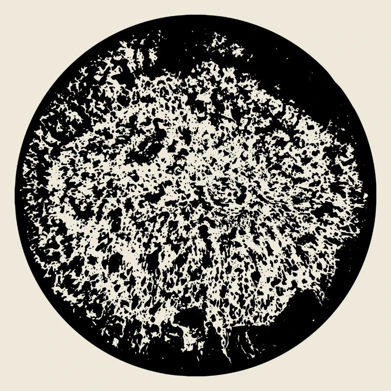 Circle | Art | Moon | True Moon Love