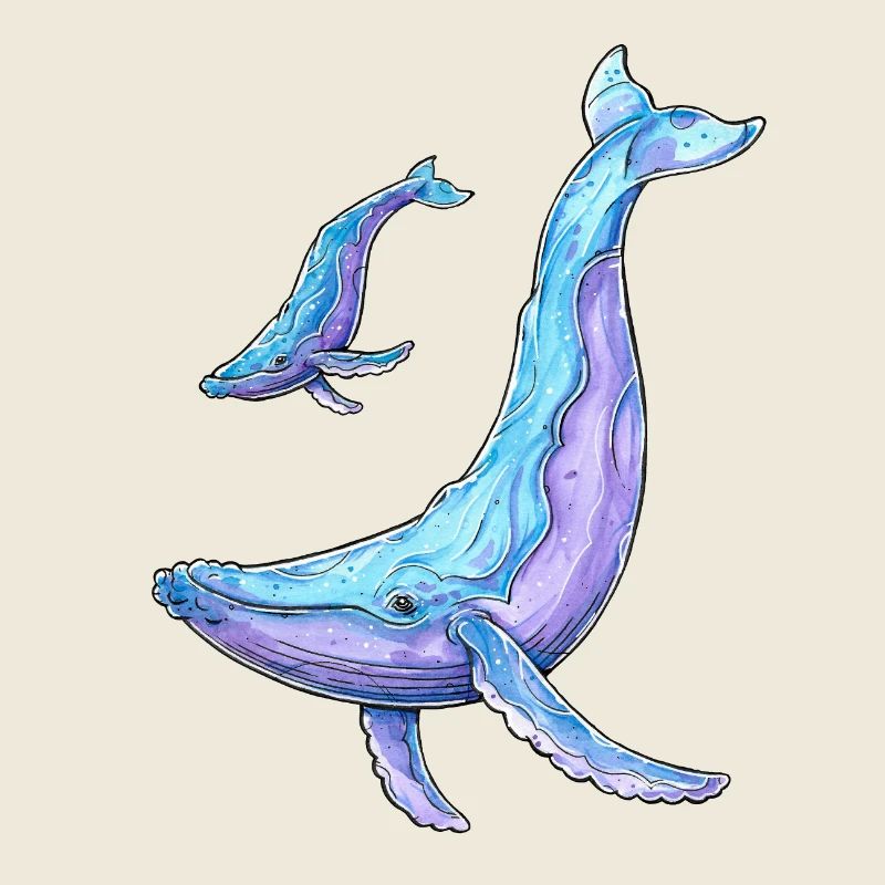Baleine à bosse avec baleineau