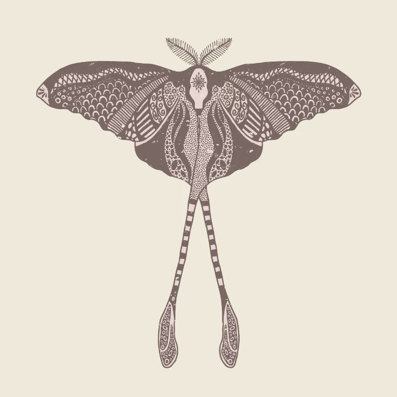 Chinese Moon Moth - Luna Moon Moth