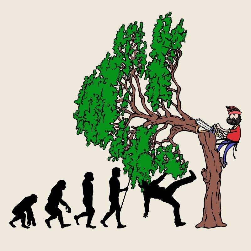 Baum Evolution Holz Holzfäller Baumfäller Wald