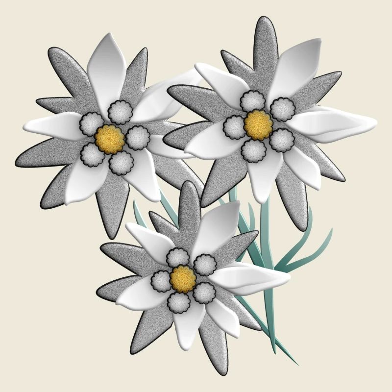 Snow white edelweiss flower print