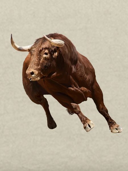 Taureau