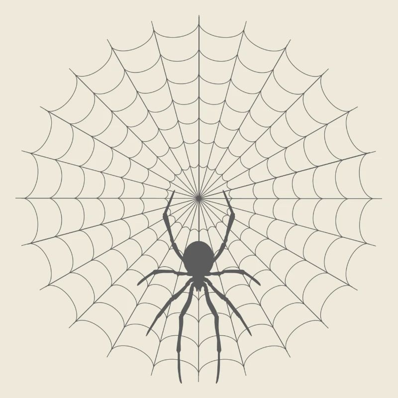 Silhouette de toile d’araignée