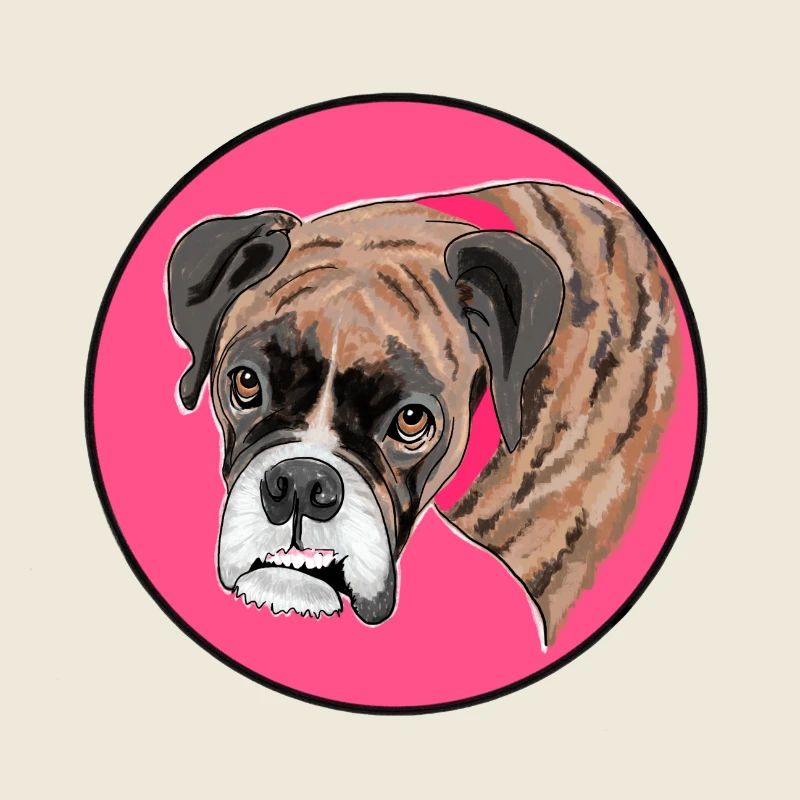 Porträt eines Boxers